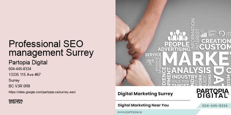 Professional SEO management Surrey SEO optimization services