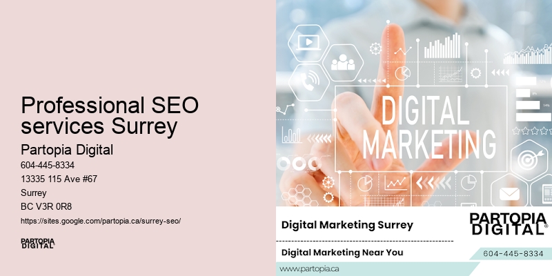 Affordable SEO Professional SEO services Surrey
