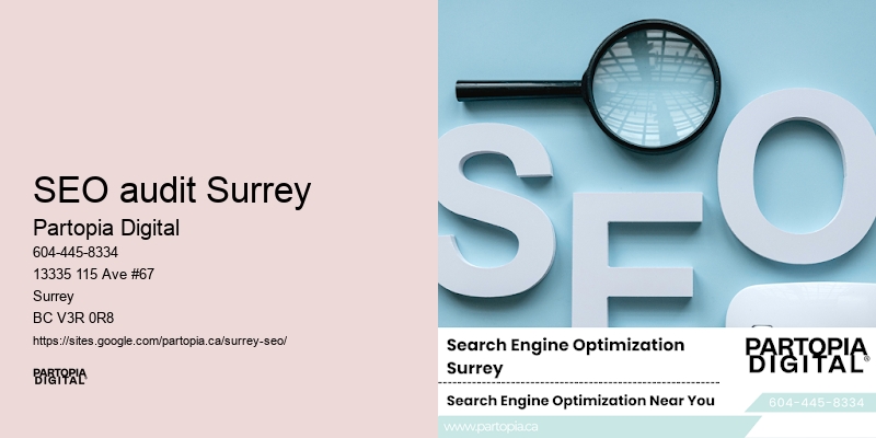 SEO success SEO audit Surrey